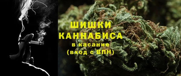 дурь Слюдянка