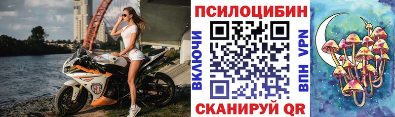 Галлюциногенные грибы Cubensis  Сретенск 