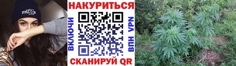Марихуана Amnesia  blacksprut tor  Сретенск  даркнет официальный сайт  магазин   